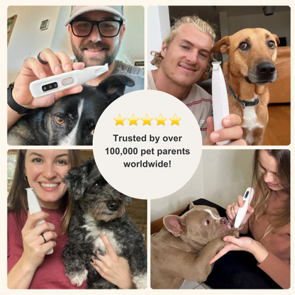 [Official Store] Yovot™ Pet Clippers：With ultrasonic cleaning and anti-inflammatory function